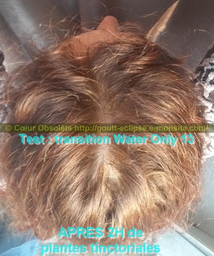 25 Fév 2018 Test Water Only Transition lavage N°13 photo APRES COLORATION 12