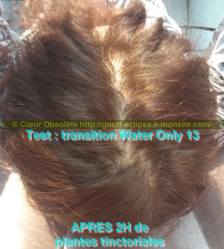 25 Fév 2018 Test Water Only Transition lavage N°13 photo APRES COLORATION 13