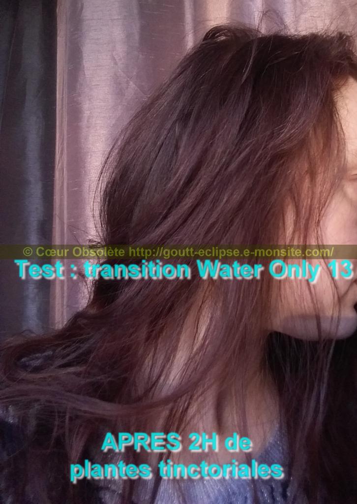 25 Fév 2018 Test Water Only Transition lavage N°13 photo APRES COLORATION 15