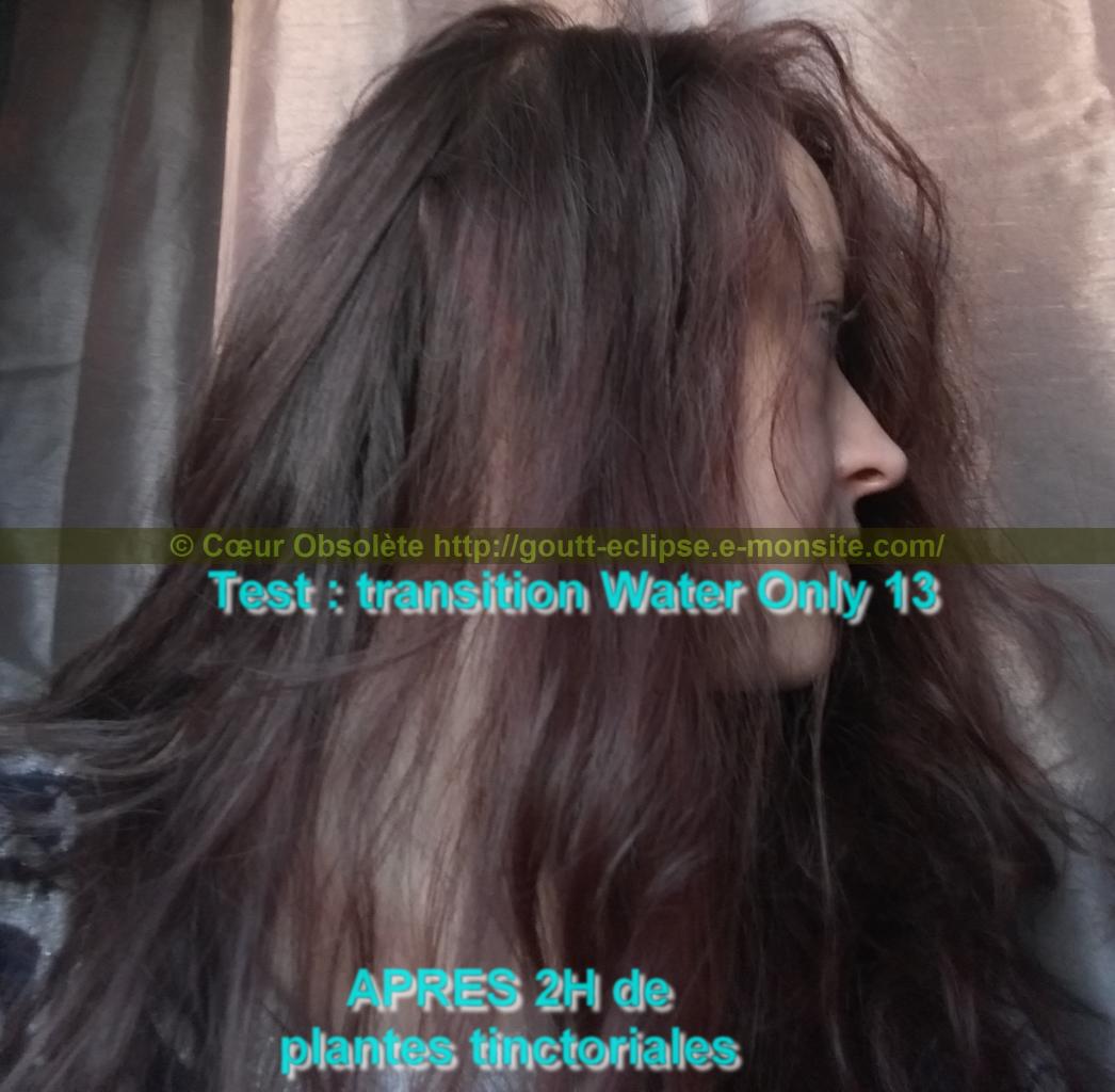 Test Transition Water Only 13 ème