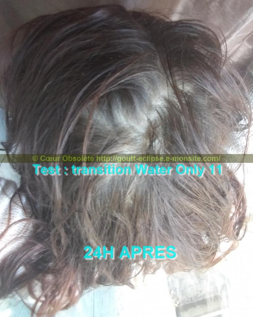 11 Fév 2018 Test Water Only Transition lavage N°11 photo 24H APRES 39
