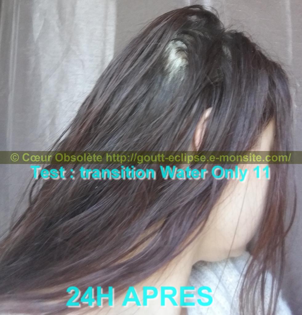 11 Fév 2018 Test Water Only Transition lavage N°11 photo 24H APRES 45
