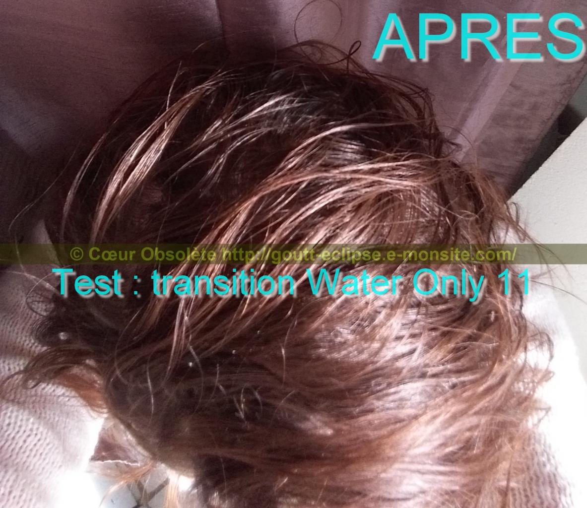 11 Fév 2018 Test Water Only Transition lavage N°11 photo APRES 31