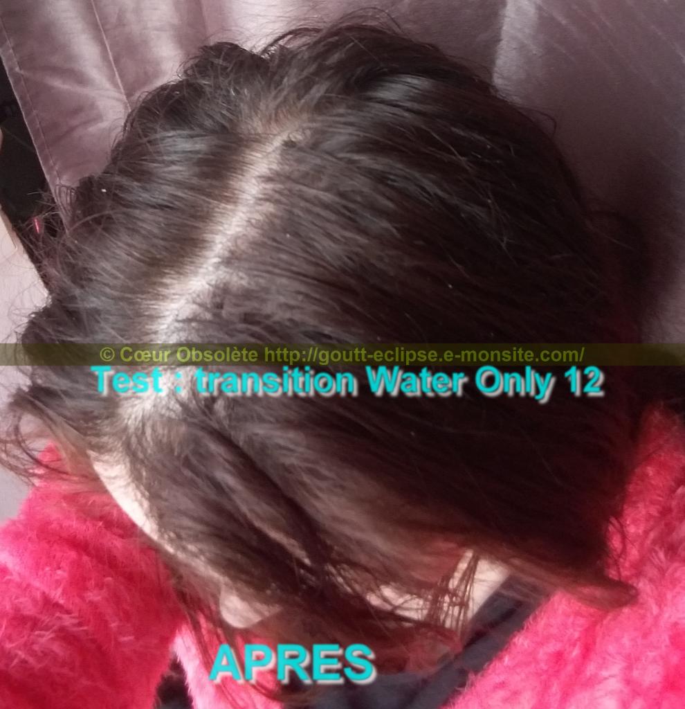 21 Fév 2018 Test Water Only Transition lavage N°12 photo APRES 10