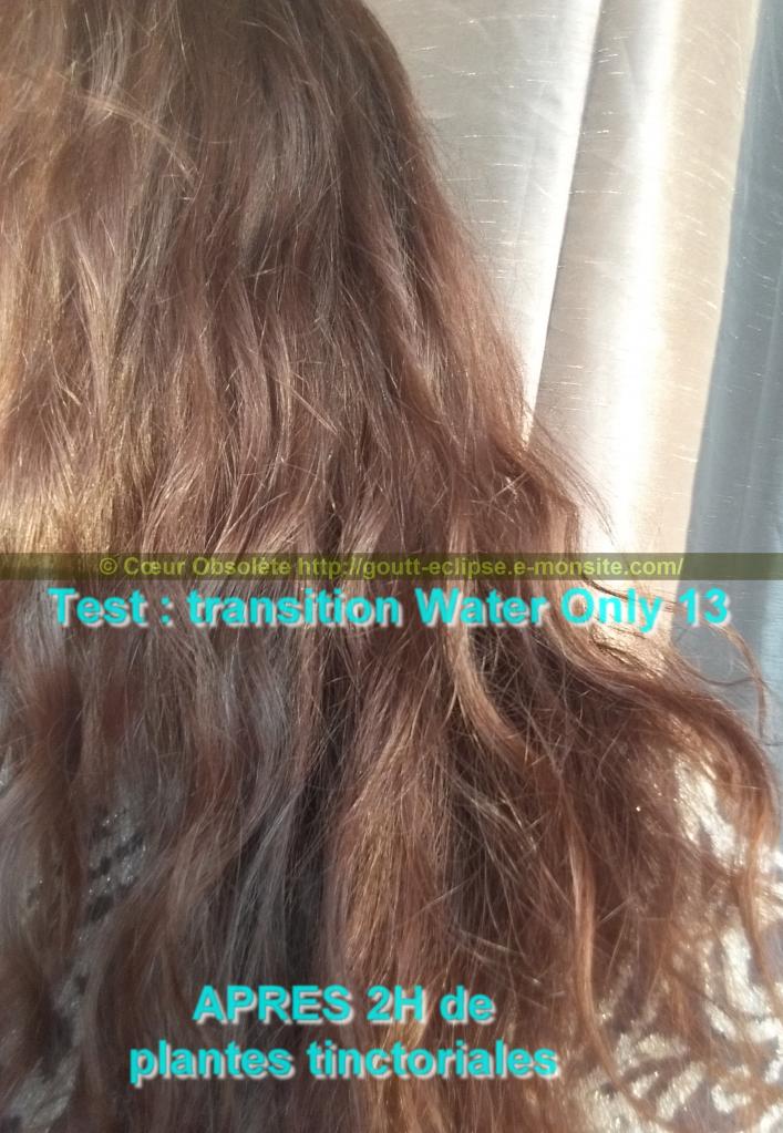 25 Fév 2018 Test Water Only Transition lavage N°13 photo APRES COLORATION 10