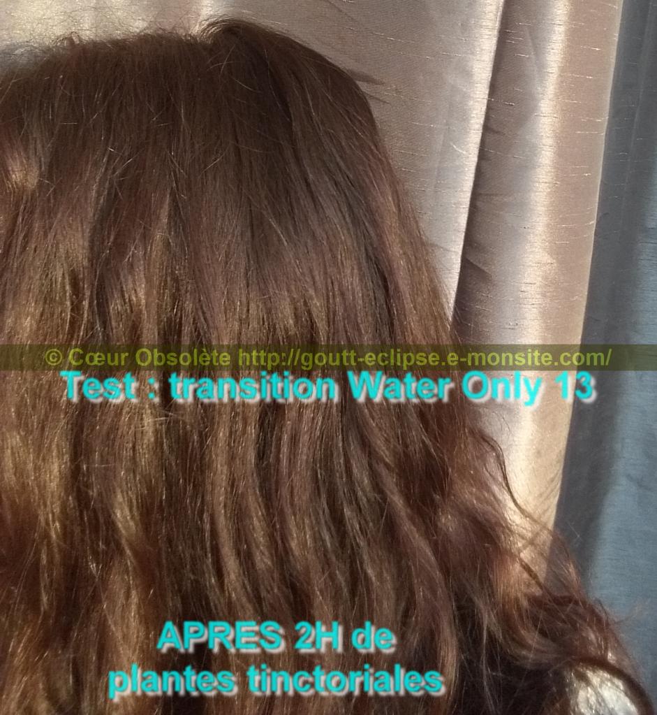 25 Fév 2018 Test Water Only Transition lavage N°13 photo APRES COLORATION 11