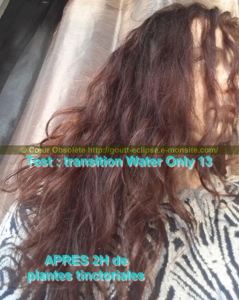 25 Fév 2018 Test Water Only Transition lavage N°13 photo APRES COLORATION 17