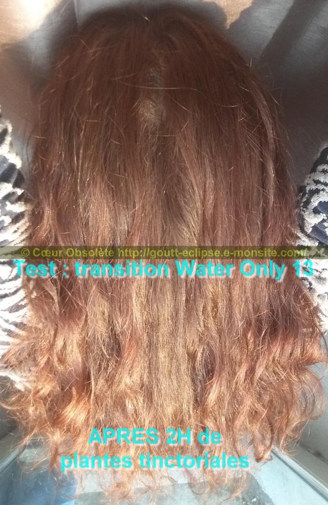 25 Fév 2018 Test Water Only Transition lavage N°13 photo APRES COLORATION 18