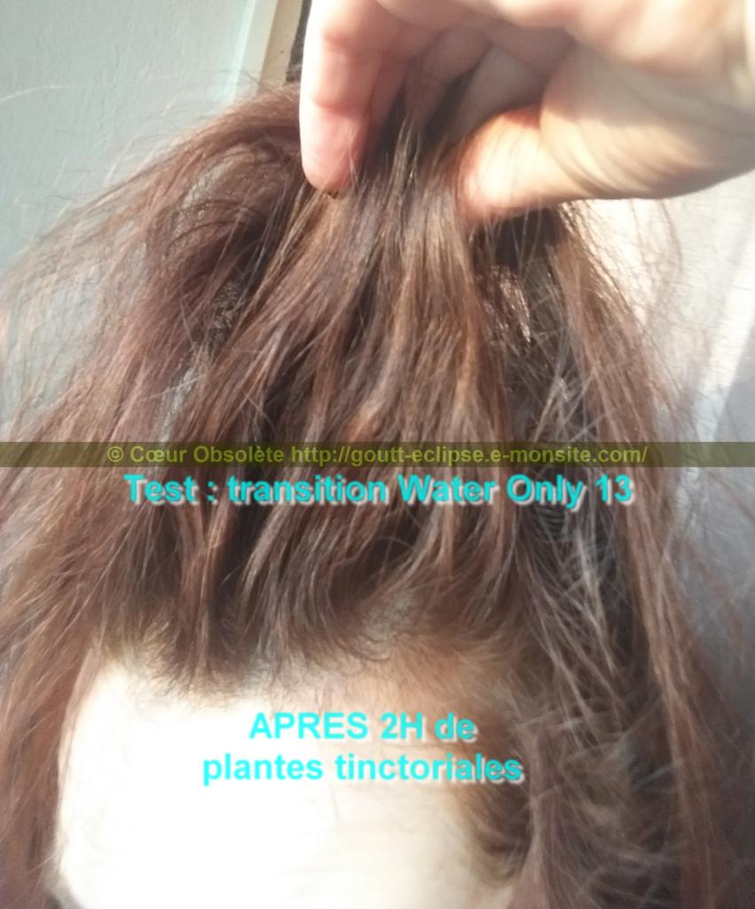 25 Fév 2018 Test Water Only Transition lavage N°13 photo APRES COLORATION 19