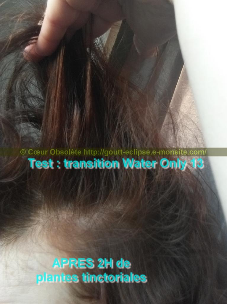 25 Fév 2018 Test Water Only Transition lavage N°13 photo APRES COLORATION 20